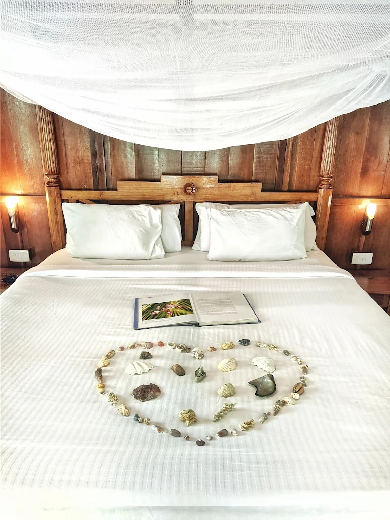 Barefoot Jungle resort _.webp
